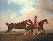 STUBBS, George William Anderson with Two Saddle-horses er oil painting picture wholesale